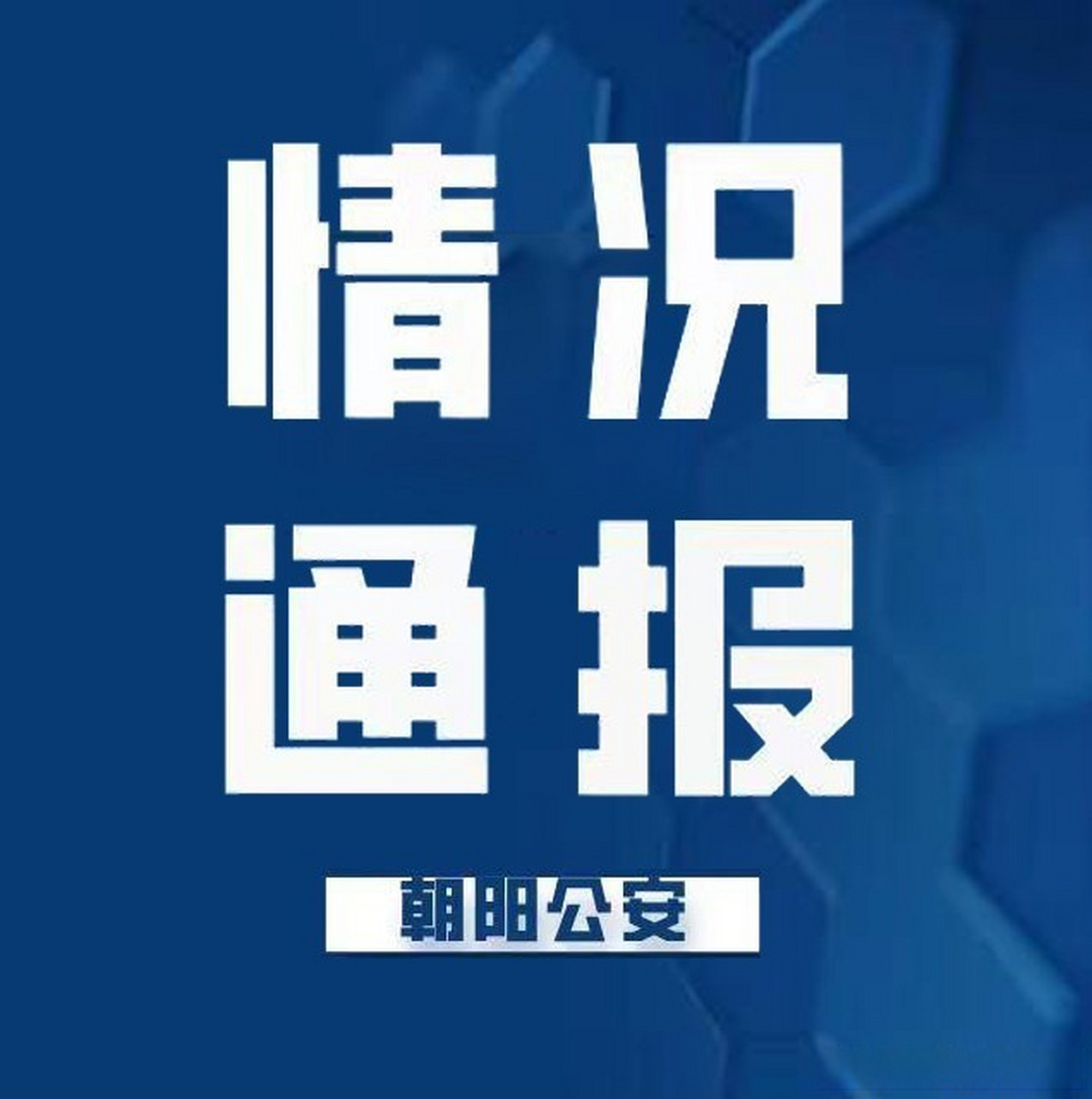 最新動(dòng)態(tài)揭示，平凡日常的溫馨故事