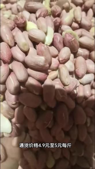 帶殼花生最新批發(fā)價(jià)格，變化中學(xué)習(xí)，成就自信與夢(mèng)想之路