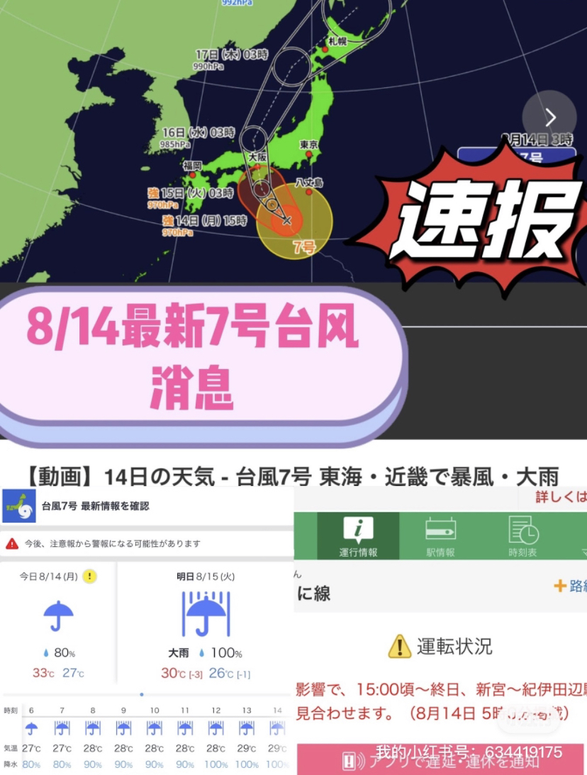 臺風(fēng)來襲，知識海洋并肩作戰(zhàn)，最新關(guān)于臺風(fēng)12號的消息報告
