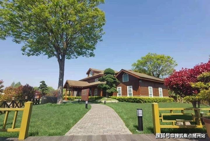 變化中的學(xué)習(xí)之旅，中澤純境最新消息與自信成就之源